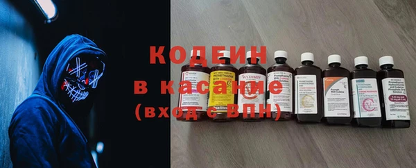 индика Алзамай