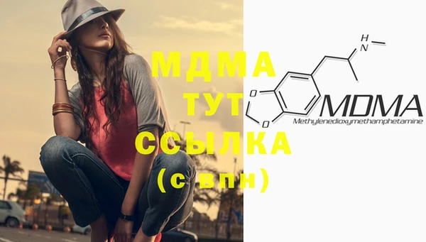 индика Алзамай