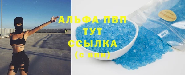 индика Алзамай