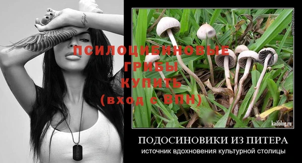 индика Алзамай