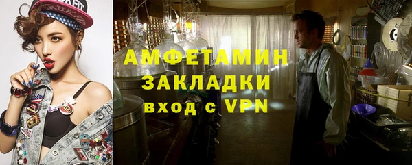 индика Алзамай