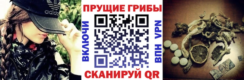 где купить наркоту  Микунь  Галлюциногенные грибы MAGIC MUSHROOMS 