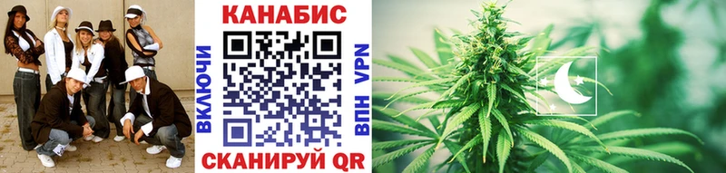 где можно купить   Микунь  Канабис Amnesia 